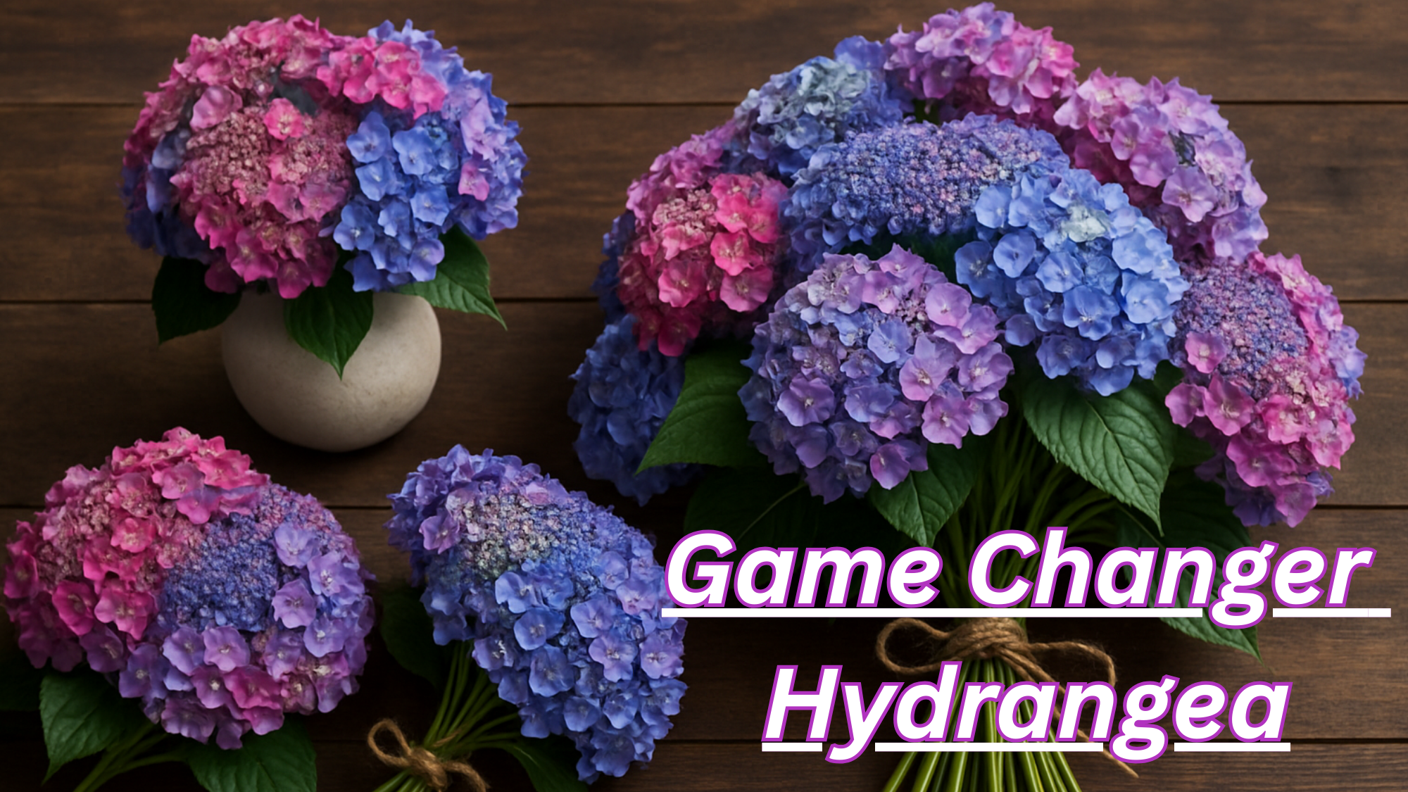 Game Changer Hydrangea