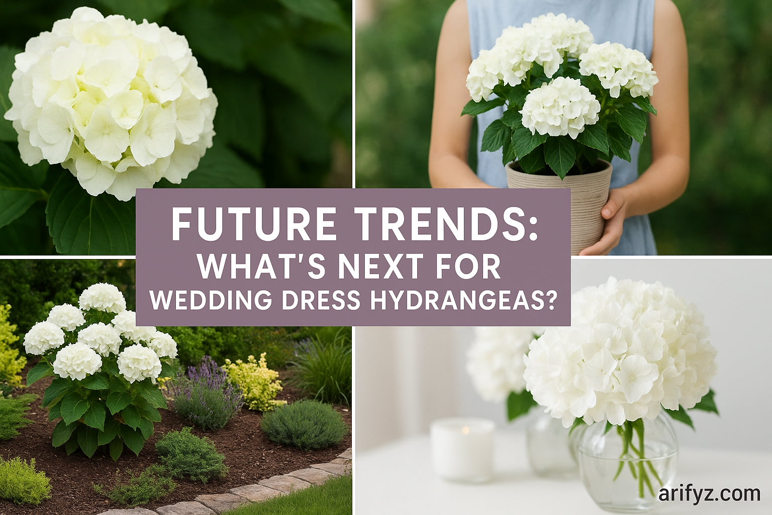 Future Trends: What’s Next for Wedding Dress Hydrangeas?
